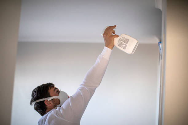 Best Affordable Mold Removal  in Ripley, WV