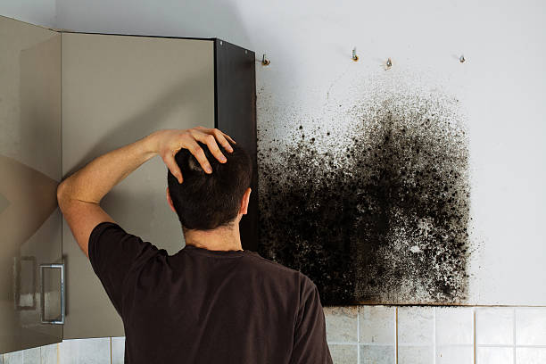 Water Damage Restoration in Ripley, WV
